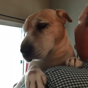 Meet your Posher, Linda